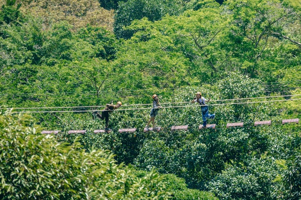 Rainforest walkway and canopy scenery at Flying Hanuman in Phuket