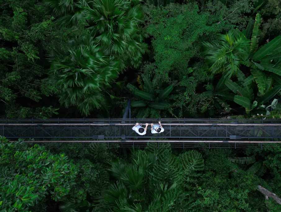 Hanuman World walkway through Phuket treetops