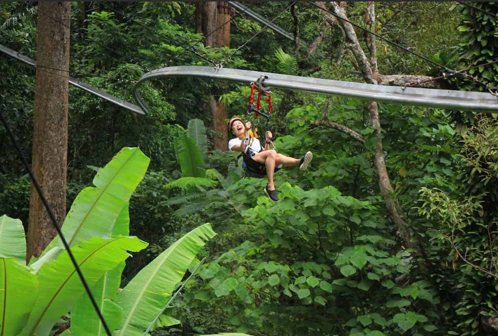 Hanuman World aerial course in rainforest canopy