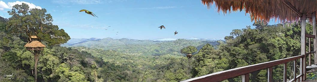 The Gibbon Experience jungle view across northern Laos