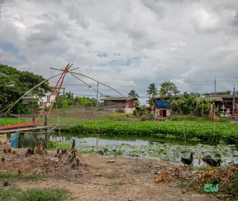 Canal scenery on the Mahasawat route