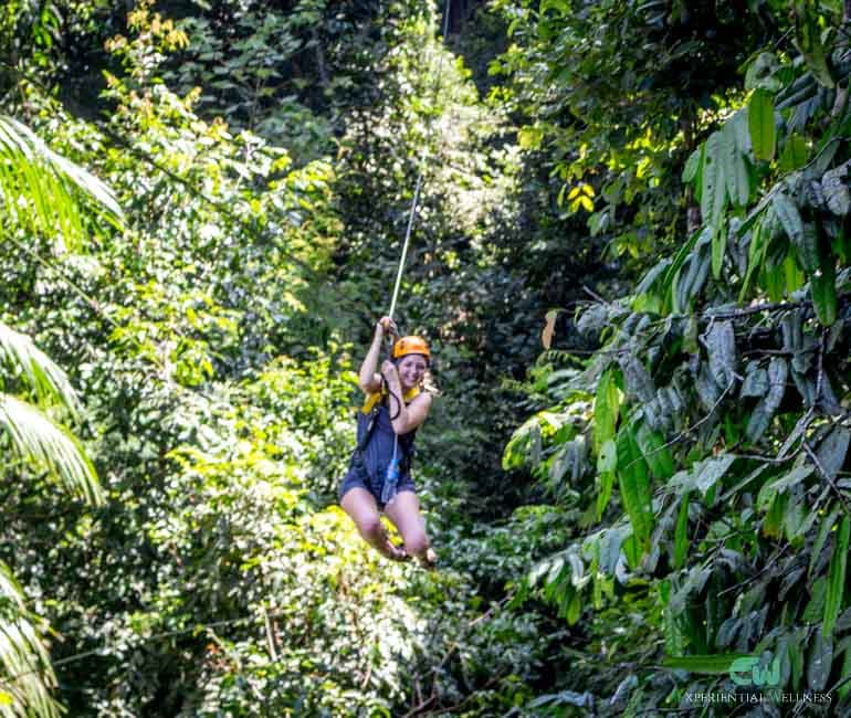 Canopy zipline through a forest setting