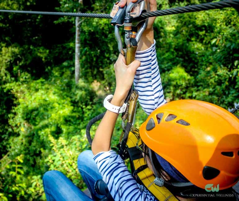 Zipline course over the treetops