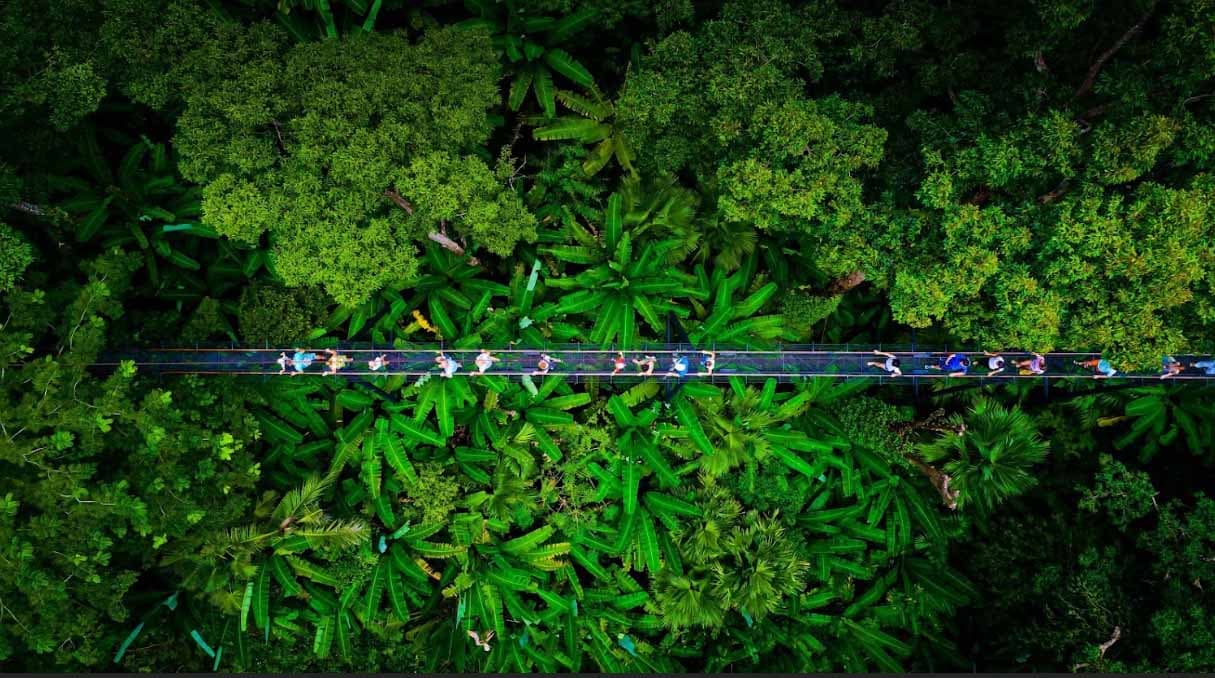 Hanuman World treetop bridge in Phuket