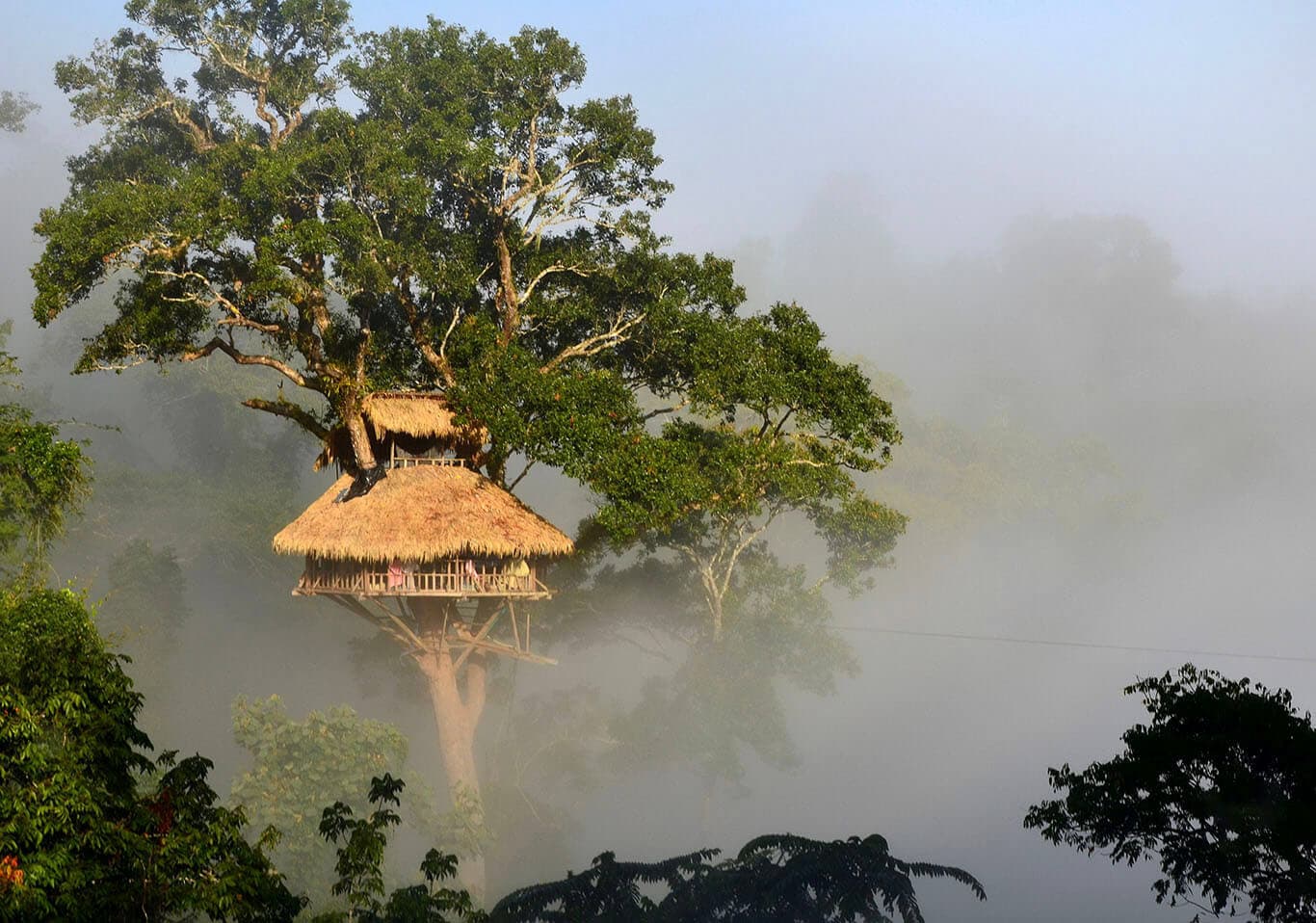 Baumhaus von The Gibbon Experience über dem Dschungel von Laos