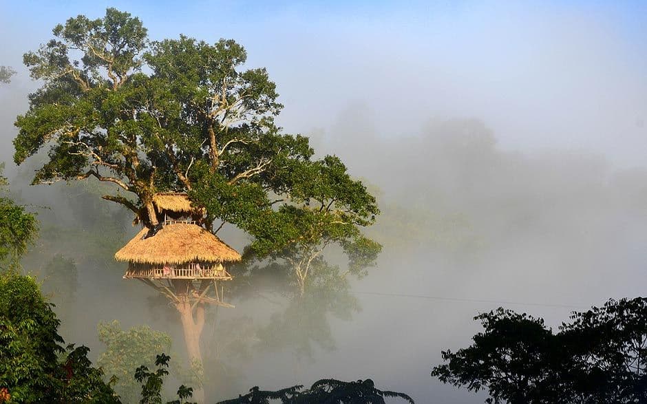 Cabane de The Gibbon Experience dans la brume du matin