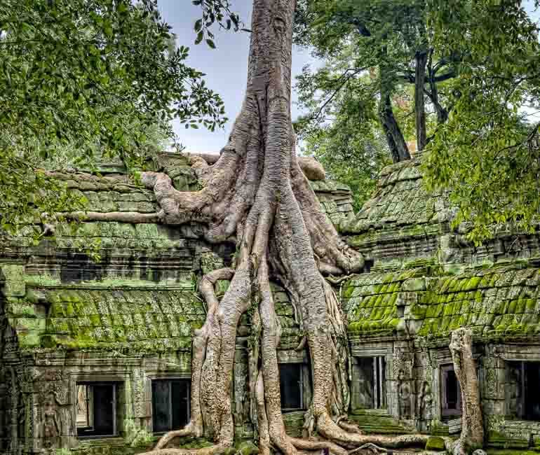 Ta Prohm, ein hinduistischer Tempel, während einer Angkor-Tour