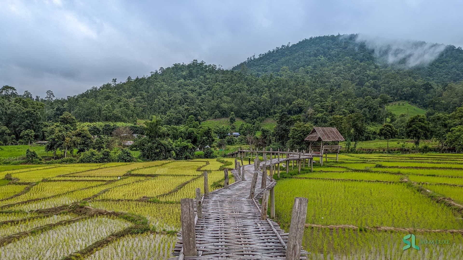 Image d’illustration pour Journey Through Vietnam